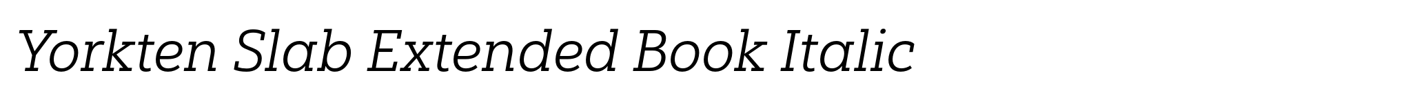 Yorkten Slab Extended Book Italic image